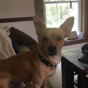 Meet your Posher, Rachel